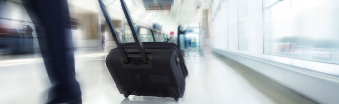Airone bagaglio a mano e borsa