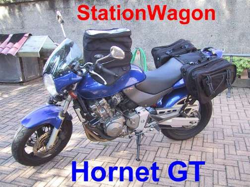 Borse laterali hornet