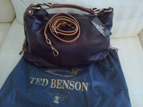 Ted benson borse
