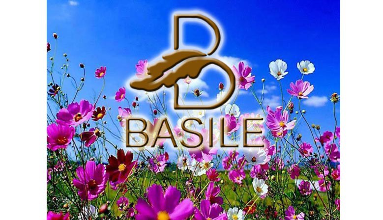 Basile borse 2015