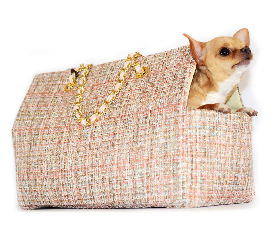 Borse x chihuahua
