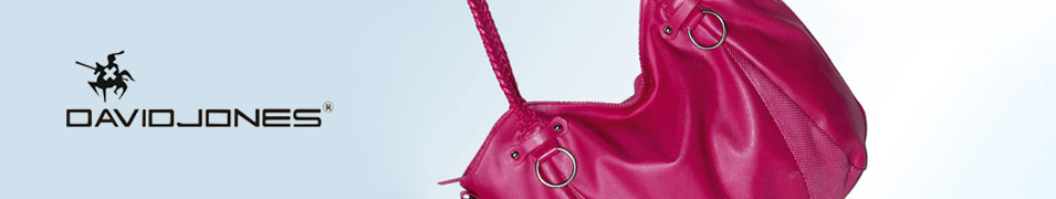 David jones borse catalogo