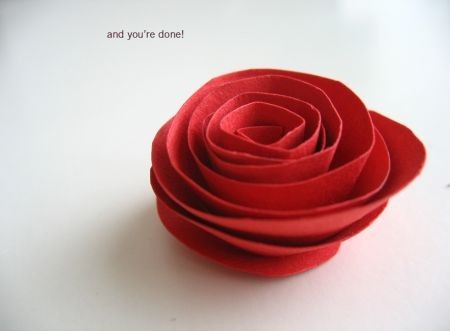 Rose fai da te